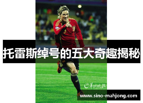 托雷斯绰号的五大奇趣揭秘