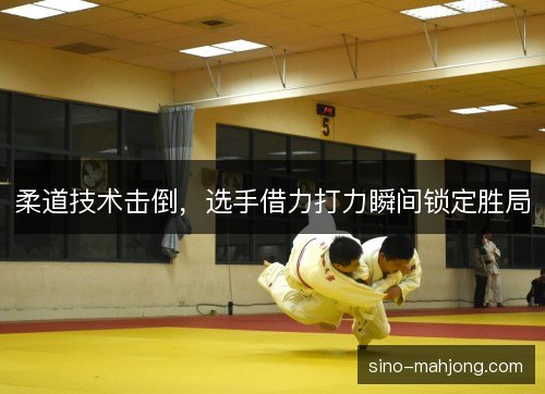 柔道技术击倒，选手借力打力瞬间锁定胜局
